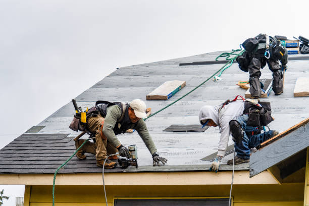 Professional Storm Damage Roof Repair technician working in Halltown, WV